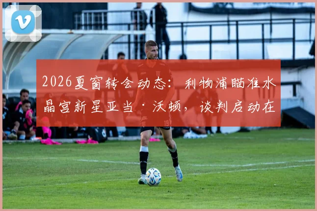 2026夏窗转会动态：利物浦瞄准水晶宫新星亚当·沃顿，谈判启动在即，中场补强关键一环